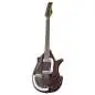 Danelectro Sitar