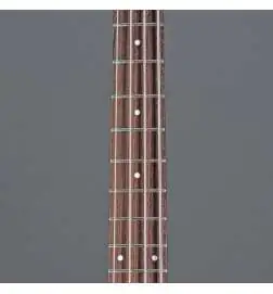 Danelectro 58 Longhorn Bass Copper Burst Lefthand