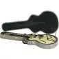 Hagstrom Case C-55 Viking