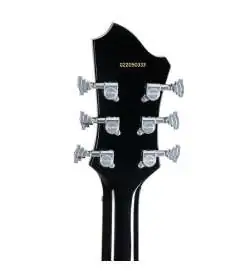 Hagstrom Ultra Max Golden Eagle Burst