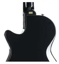 Hagstrom Ultra Max Golden Eagle Burst