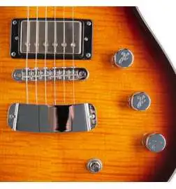 Hagstrom Ultra Max Golden Eagle Burst