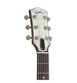 Godin Radiator Bourbon Burst