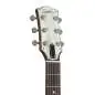 Godin Radiator Bourbon Burst Godin Radiator Bourbon Burst