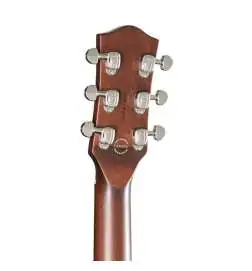 Godin Radiator Bourbon Burst