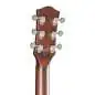 Godin Radiator Bourbon Burst Godin Radiator Bourbon Burst