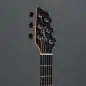 Godin xtSA Trans Black Flame