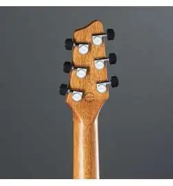 Godin xtSA Preto transparente
