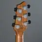 Godin xtSA Synth Access Light Burst