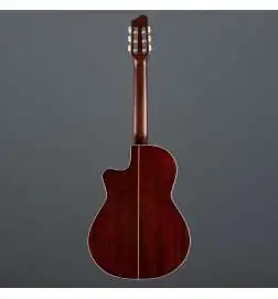 Godin Arena Pro CW Bourbon Burst