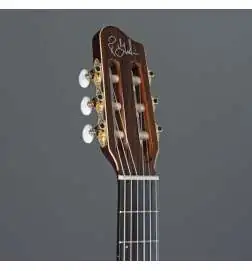Godin Arena Pro CW Bourbon Burst