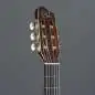 Godin Arena Pro CW Bourbon Burst