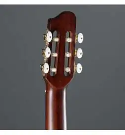 Godin Arena Pro CW Bourbon Burst