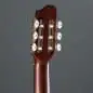Godin Arena Pro CW Bourbon Burst
