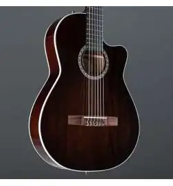 Godin Arena Pro CW Bourbon Burst