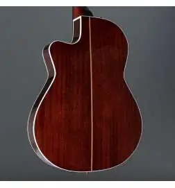 Godin Arena Pro CW Bourbon Burst