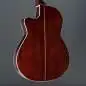 Godin Arena Pro CW Bourbon Burst