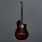 Godin Arena Pro CW Bourbon Burst