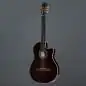 Godin Arena Pro CW Bourbon Burst