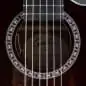 Godin Arena Pro CW Bourbon Burst