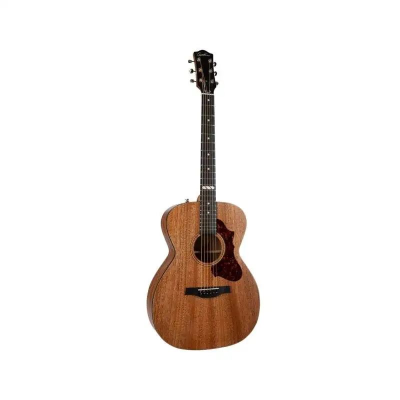 Godin Fairmount CH Composer L. R. Baggs Element