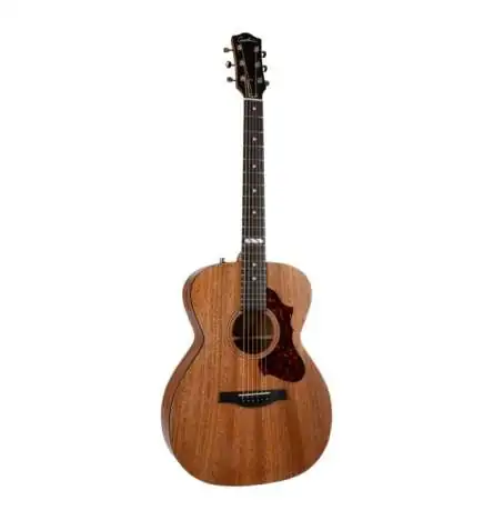 Godin Fairmount CH Composer L. R. Baggs Element