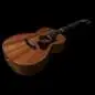 Godin Fairmount CH Composer L. R. Baggs Element