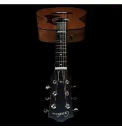 Godin Fairmount CH Composer L. R. Baggs Element