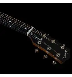 Godin Fairmount CH Composer L. R. Baggs Element