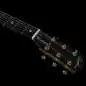 Godin Fairmount CH Composer L. R. Baggs Element