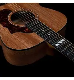 Godin Fairmount CH Composer L. R. Baggs Element