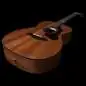 Godin Fairmount CH Composer L. R. Baggs Element