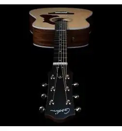 Godin Metropolis Classic L. R. Baggs Element