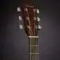 Fender CD-60SCE (Natural)