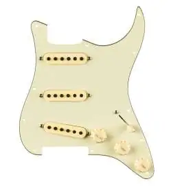 Fender Eric Johnson Pre-Wired Strat Pickguard SSS 3-ply Mint