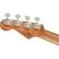Fender Dhani Harrison Ukulele Turquoise Fender Dhani Harrison Ukulele Turquoise