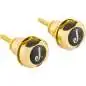 Jackson Strap Locks Gold