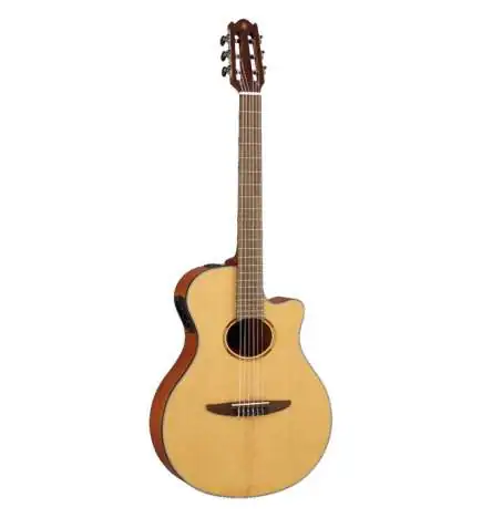 Yamaha NTX1 NT