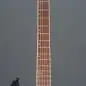 ESP LTD M-200FM See Thru Black