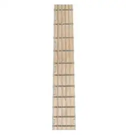 ESP LTD MH-203QM See Thru Blue