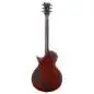 ESP LTD EC-1001 Tiger Eye