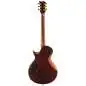 ESP LTD EC-1000 Gold Andromeda ESP LTD EC-1000 Gold Andromeda