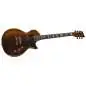 ESP LTD EC-1000 Gold Andromeda ESP LTD EC-1000 Gold Andromeda