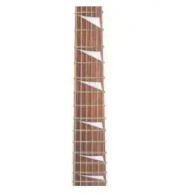 ESP LTD Arrow-200 Black