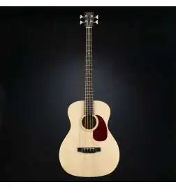 Sigma Guitars BME