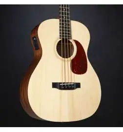 Sigma Guitars BME
