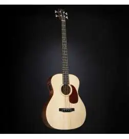 Sigma Guitars BME