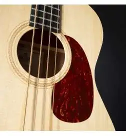 Sigma Guitars BME
