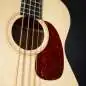 Sigma Guitars BME+