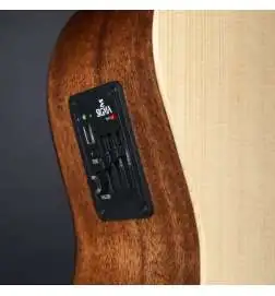 Sigma Guitars BME